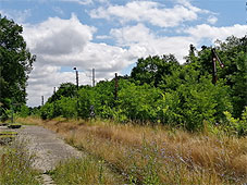 min 130 9.jpg min 130 9.jpg